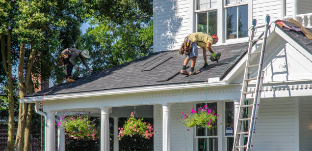 Best Flat Roof Repair Services  in Waimanalo, HI